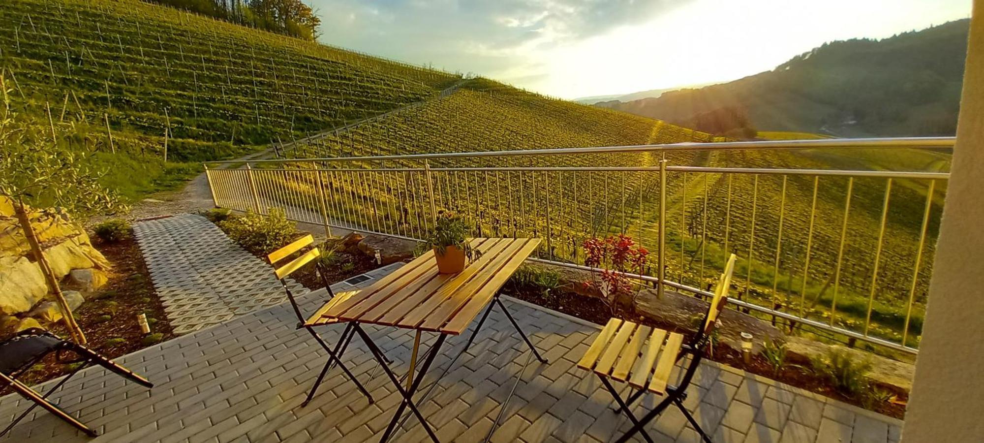 Schwarzwaldglueck Apartamento Oberkirch  Exterior foto